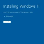 Microsoft Windows 11